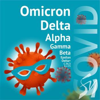 ������ �� ���� �����. ������� ������� �����������